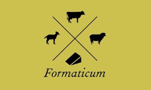 Formaticum-Logo-on-colour-300x180px